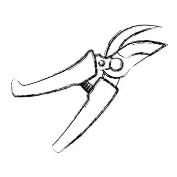 Pruning shears gardening tool Illustrazione stock