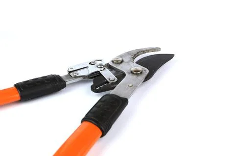 Pruning shears (hedge cutting shears) Stock Photos