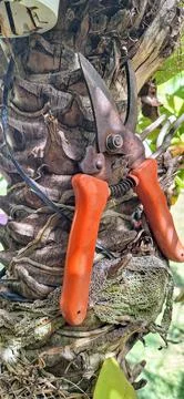 Pruning shears Stock Photos