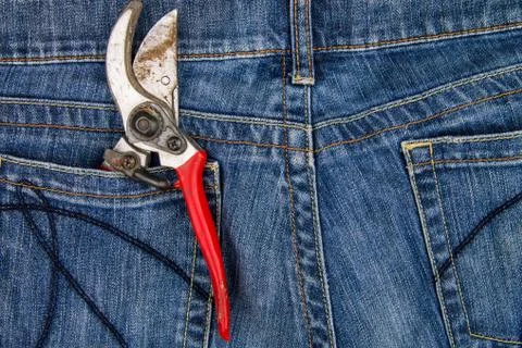 Pruning shears in the pocket of blue jeans Stock Photos