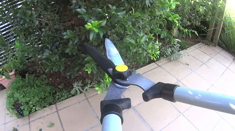 Pruning Shears POV Cutting Branches 스톡 동영상 37177210