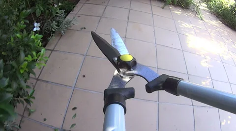 Pruning Shears POV Cutting Branches Stock-Footage 37178508