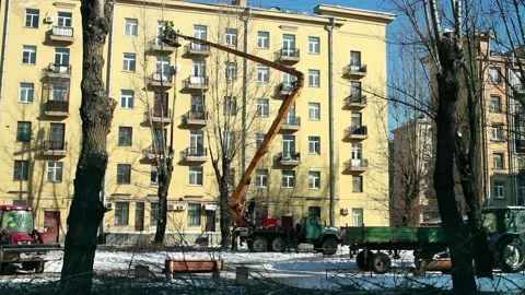 Pruning of tall trees in the city Stock Footage 86730881
