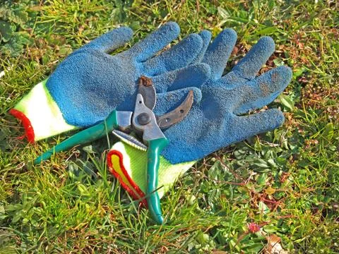 Pruning tool Stock Photos