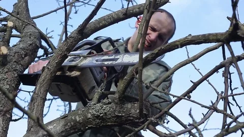 Pruning Trees and shrubs Видео 75311610