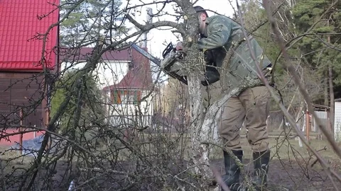 Pruning Trees and shrubs 動画素材 75313680
