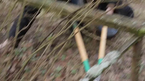 Pruning Trees and shrubs Stock Footage 75445479