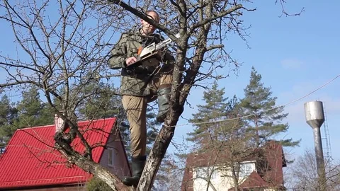 Pruning Trees and shrubs | Stock Video | Pond5