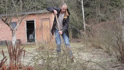 Pruning Trees and shrubs Видео 88867436