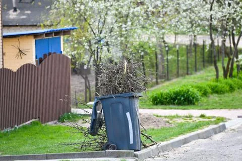 Pruning trees. cutting some branches from the tree to the organic compost con Foto stock