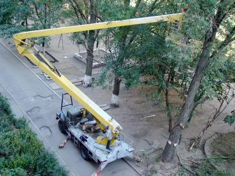 Pruning-trees Foto stock