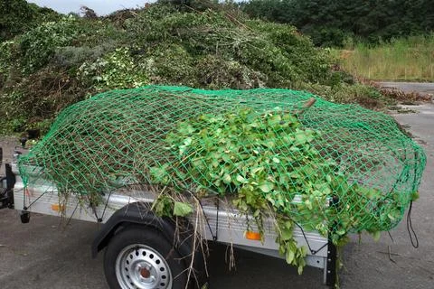 Pruning waste in a trailer  Stock Photos