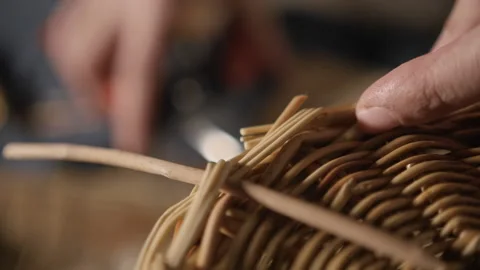 Pruning willow branches Stock Footage 170202183