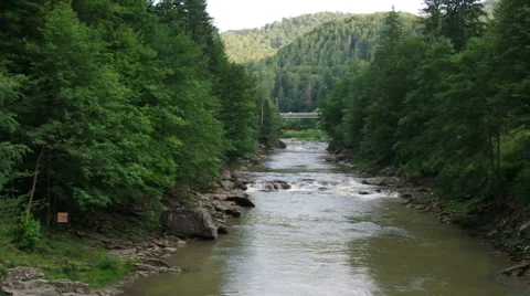Prut's mountain river rapids in Eastern Europe Carpathian Mountains, Ukraine 스톡 동영상 51169715