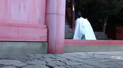 Pryeing monack. Stock Footage 46179854