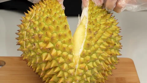 Prying Open a Fresh Durian Fruit in Real Time Stock Footage 327549085