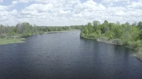 Prypyat river. Summer 库存影片 155241483