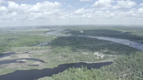 Prypyat river. Summer Vídeo Stock 155241960