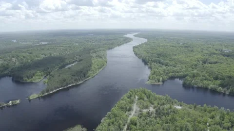 Prypyat river. Summer 스톡 동영상 155243732