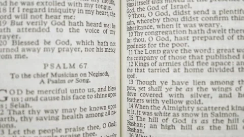 Psalm Open Page Bible Time Lapse Stock Footage 246597251