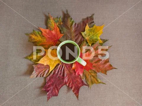 PSD AUTUMN Mockup cup of coffee autumn leaves add your textleaves-and-cup PSD Template