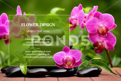 Psd Mockup floral design Spa invitation with pink Orchid replace your tex PSD-Vorlage