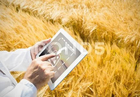 PSD template of Agronomist using digital tablet in field on a sunny day Modello PSD