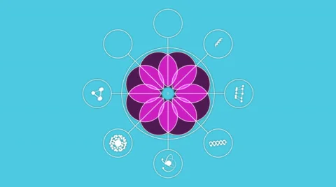 Pseudograph with vertex set makes mandala. Alpha Matte Stock Footage 32814206