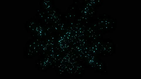 Psilocybin 4k 04 Stock Footage 98755975