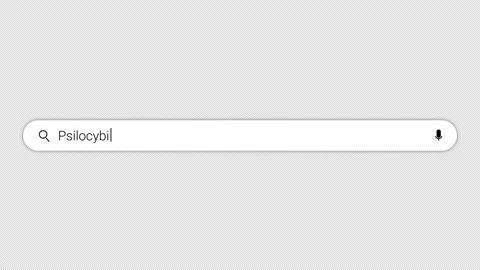 Psilocybin text typing in search balk animation on white screen in 4k Stock Footage 292538277