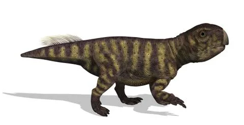 Psittacosaurus Dinosaur Stock Illustration