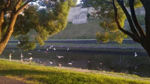 Pskov city Stock Photos