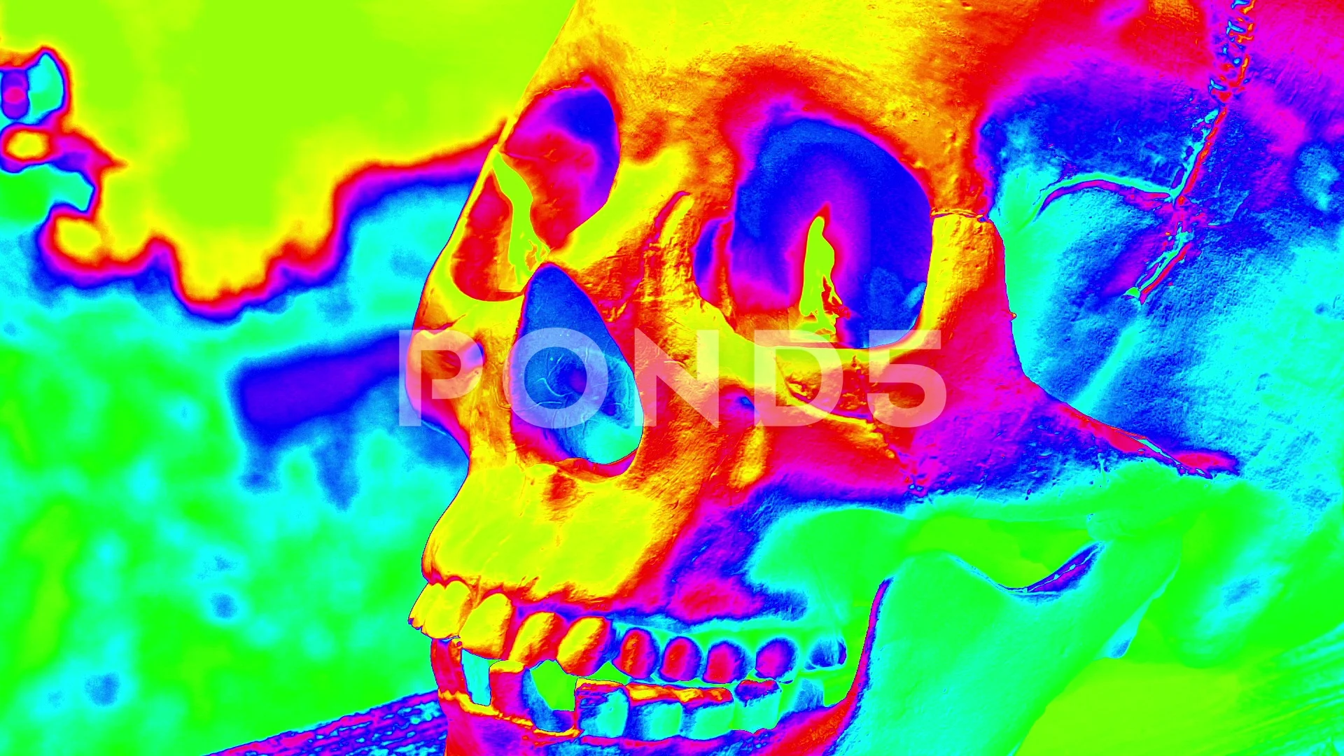 New Trending  Multi Colored Skull Wallpaper Download  MobCup