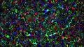 Psychedelic abstract background hippie trippy drug hallucination 4k 4k or 4k+ Resolution