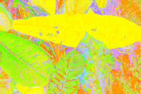 Psychedelic abstract background or texture with leaves Stock Photos