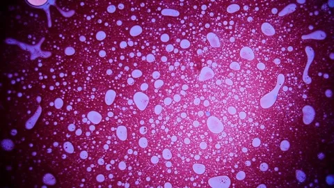 Psychedelic abstract liquid light show, organic paint swirls. Trippy wallpaper. Stock Footage 121705098
