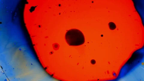 Psychedelic abstract liquid light show. Marble background. Water oil paint swirl Stock Footage 121706115