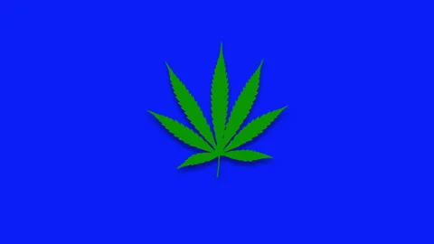 Psychedelic animation animation of cannabis leaf with changing color background, Video stock 142274442