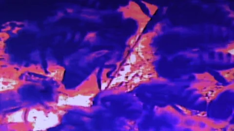 Psychedelic  bees, abstract red. Stock Footage 154917110