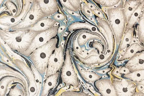 A psychedelic bird from abstract curves, points and irregular textures. Ebr.. Stock Photos