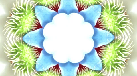 Psychedelic color loop in red, blue, green and white 스톡 동영상 38984518