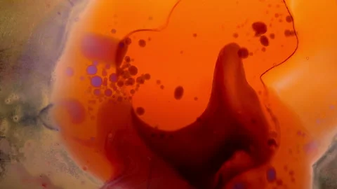 Psychedelic Colors Liquid Light Show 1960s Stock-Footage 202772766