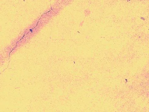 Psychedelic Cracked Concrete Wall Texture Yellow Pink Grunge Abstract Backg.. Stock Photos