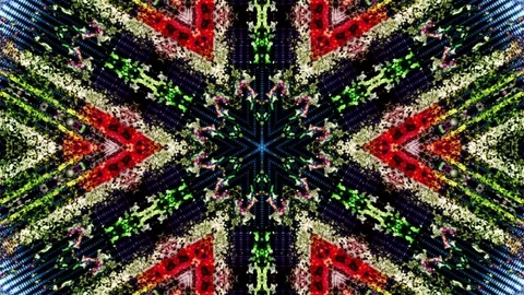 Psychedelic Flowered Colored Motion Fractal Kaleidoscope Background Stock Footage 74462762