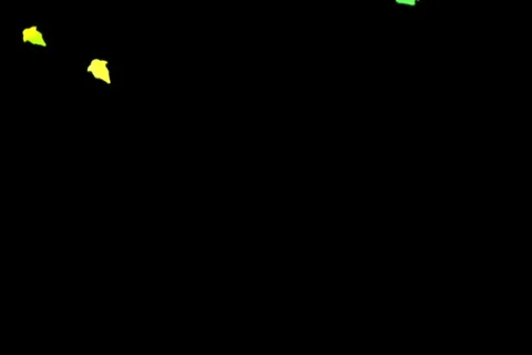  psychedelic flowers falling  Stock Footage 562524