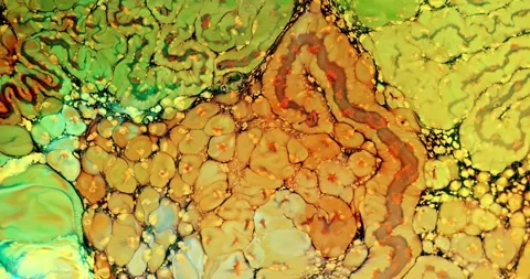 Psychedelic fluid art abstract motion background 스톡 동영상 341402811