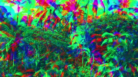 Psychedelic forest background Stock-Footage 167655362