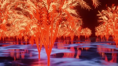 A psychedelic Forest Stock Footage 142932159