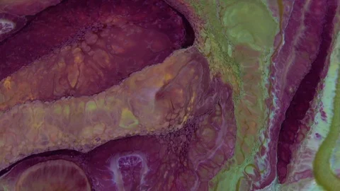Psychedelic Galactic Paint Texture Background 300 Stock Footage 124721978