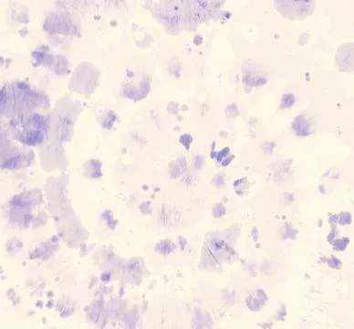 Psychedelic Grunge Background. Circle Dyed Dress. Illustrazione stock